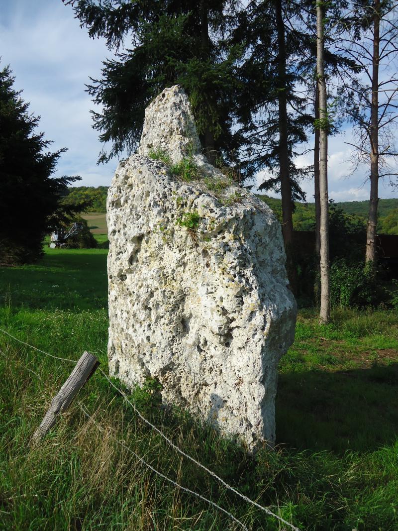 Menhir dit Gravier de Gargantua, Port-Mort