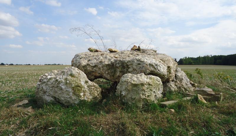 Dolmen de l'Hôtel-Dieu, Les Ventes