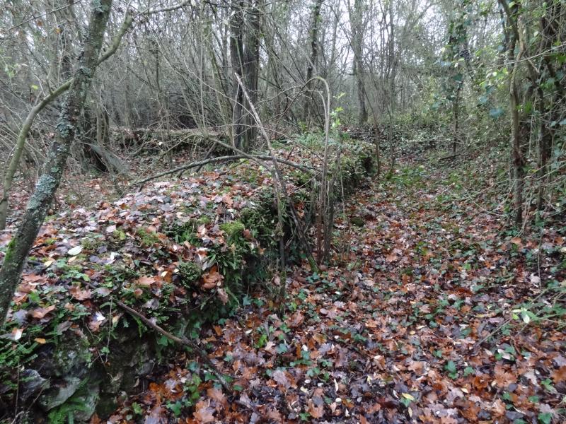 Fanum de Cracouville : vestiges gallo-romains