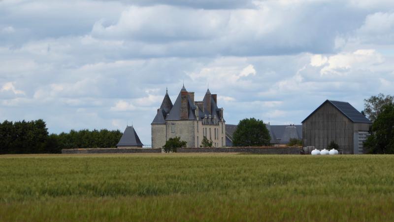Château de Villepion, Terminiers