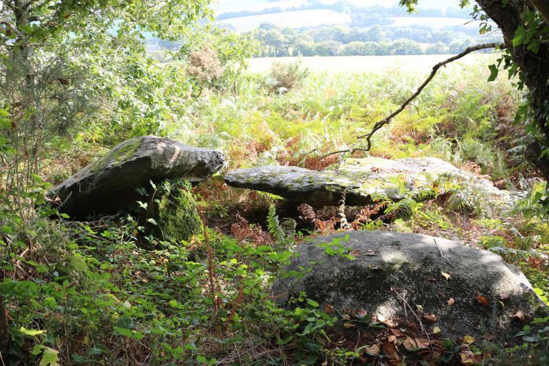 Cairn mégalithique avec dolmens, Elliant