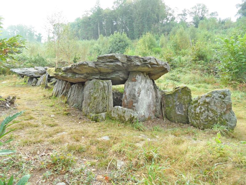 Allée couverte dite Loch-ar-Ronfl, Gouézec