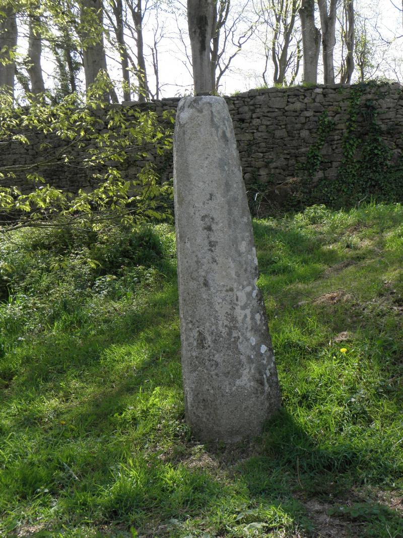 Stèle protohistorique, Goulien