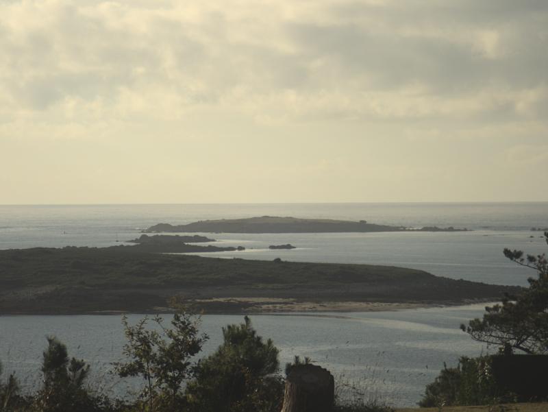Ile Gaignoc, Landéda