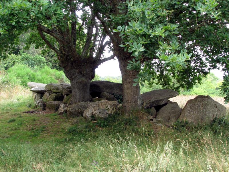 Allée couverte, Moëlan-sur-Mer