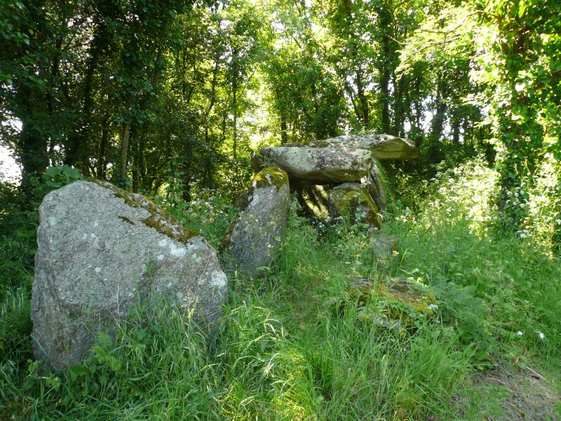 Dolmen de Lestrigniou, Plomeur
