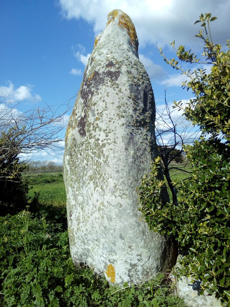 Menhir de Lanvenael et bande de terrain autour, Plomeur