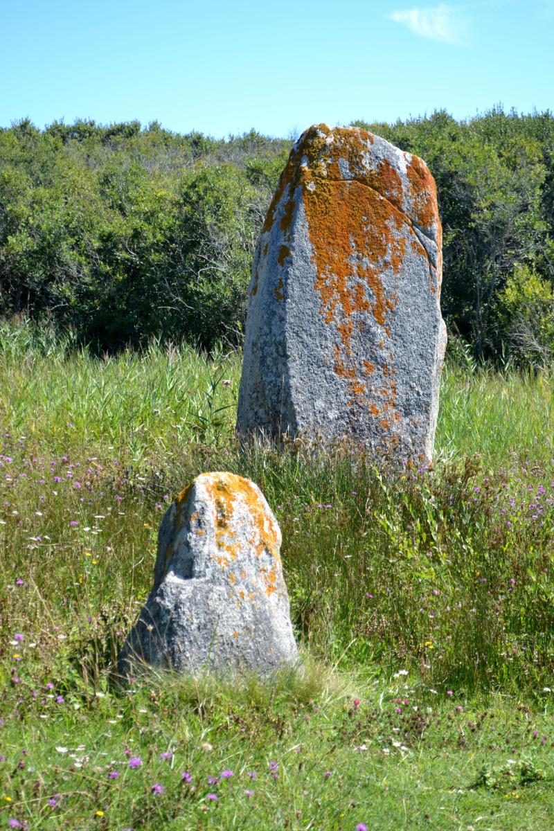 Deux menhirs, Plomeur
