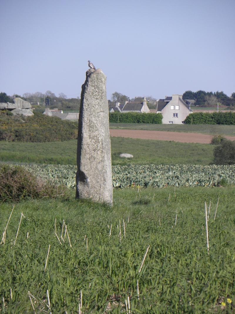 Menhir d'Irvit, Plouescat