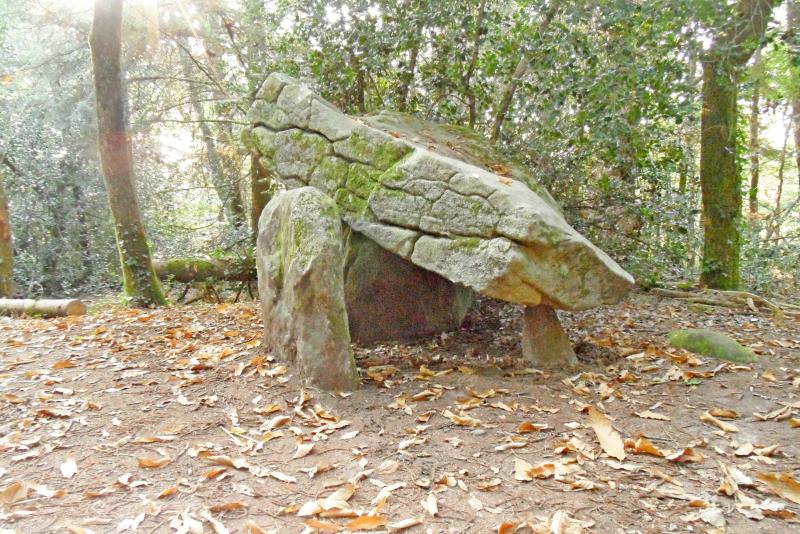 Dolmen de Ménez-Liaven et bande de terrain autour, Pluguffan