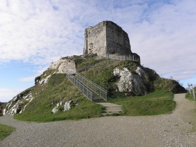 Restes du château, La Roche-Maurice
