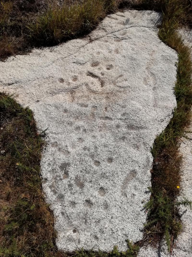 Rochers gravés du Reun, Treffiagat