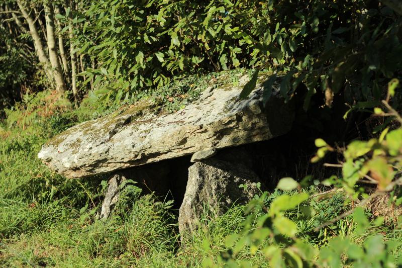 Dolmen, Le Trévoux