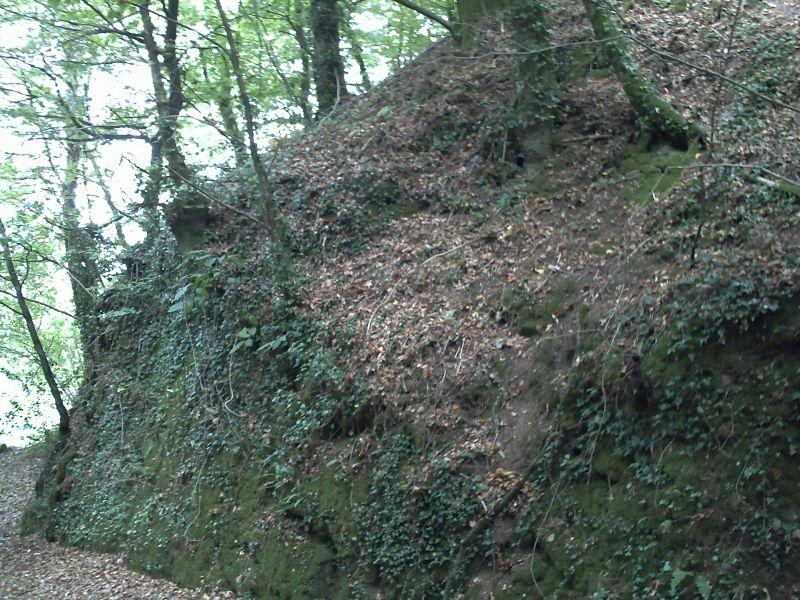 Motte castrale du Roc'h, Arzano