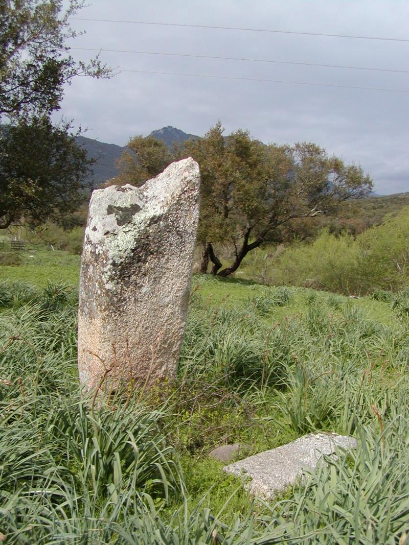Deux menhirs du Rizzanèse