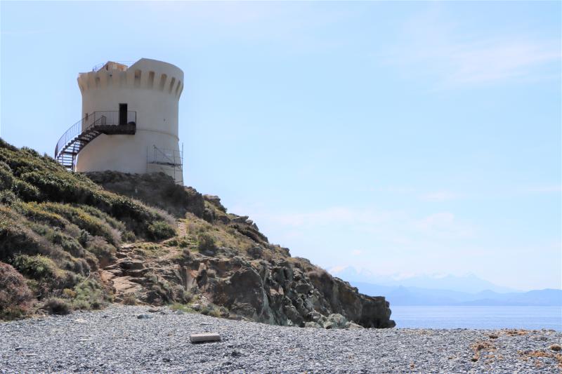 Tour d'Albo, dite aussi d'Olchini ou del Greco, Ogliastro