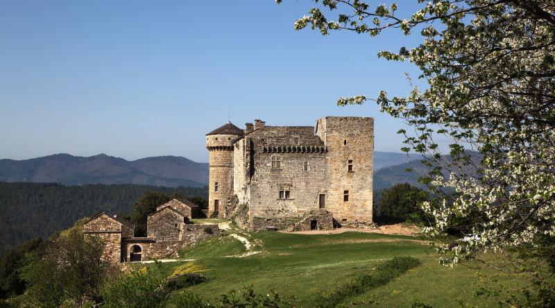 Restes du château du Chaylard, Aujac
