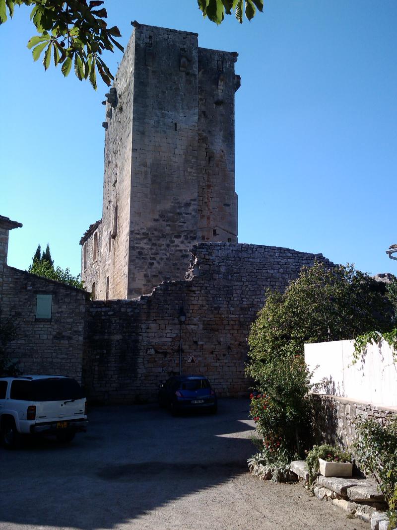 Ruines du château, Montclus