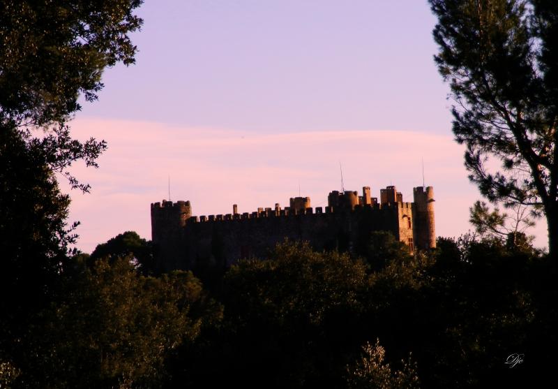 Château, Montfaucon