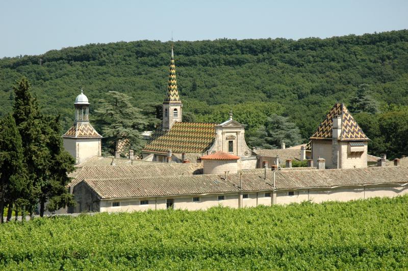 Ancienne chartreuse de Valbonne, Saint-Paulet-de-Caisson