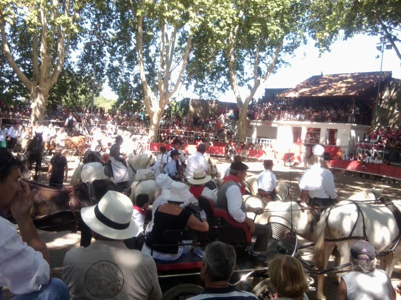 Arènes de bouvine, Le Cailar