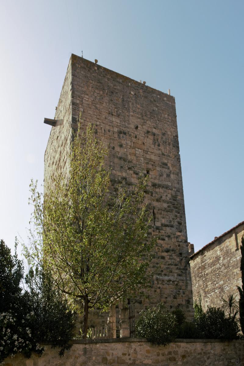 Tour seigneuriale, Moussac