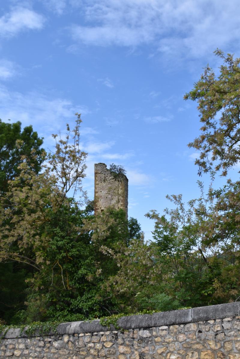 Restes du donjon, Larroque