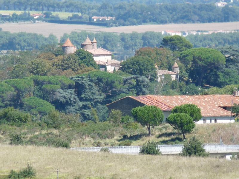 Château de Vieillevigne, Vieillevigne