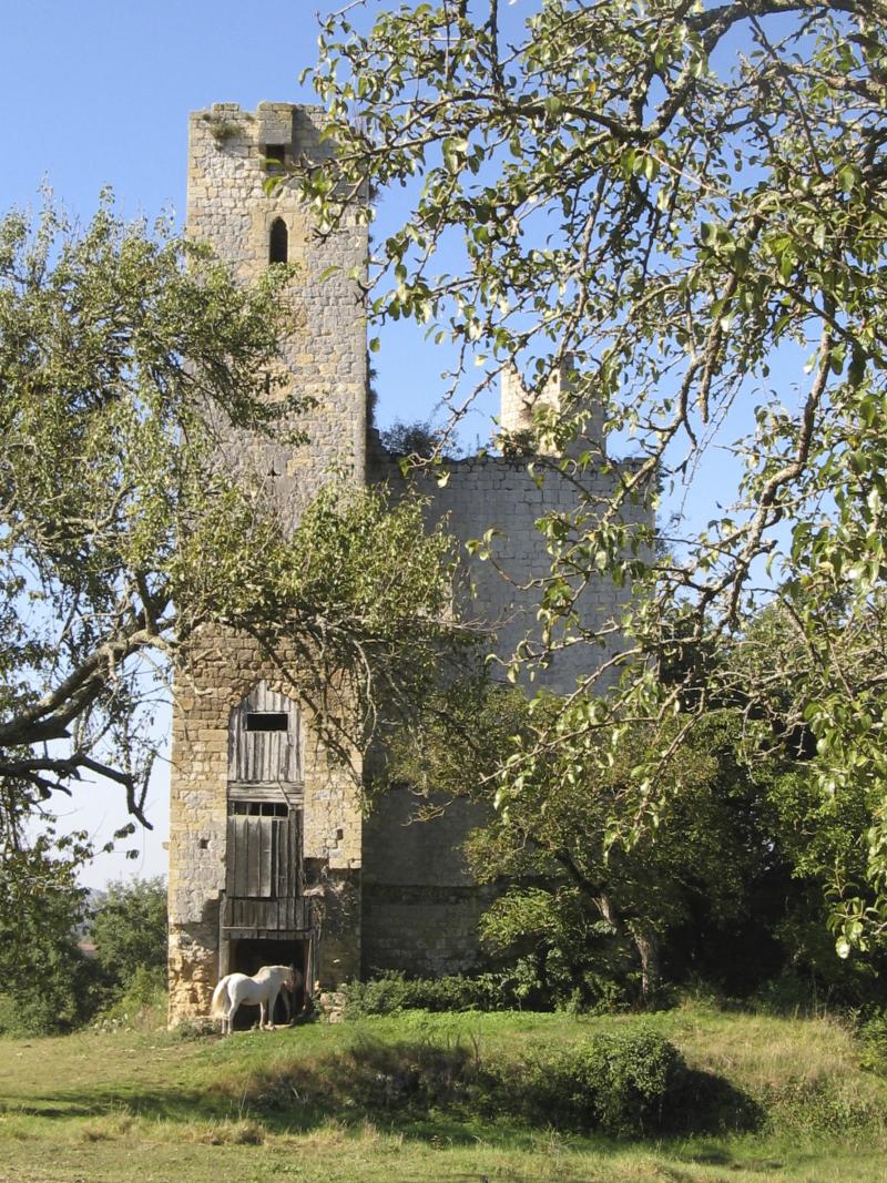 Château de Tauzia, Maignaut-Tauzia