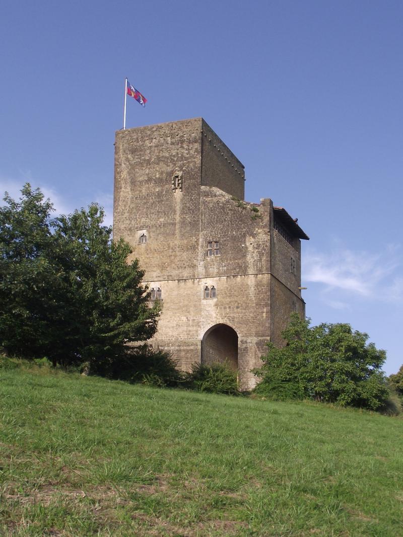 Ensemble des vestiges du château d'Armagnac, Termes-d'Armagnac