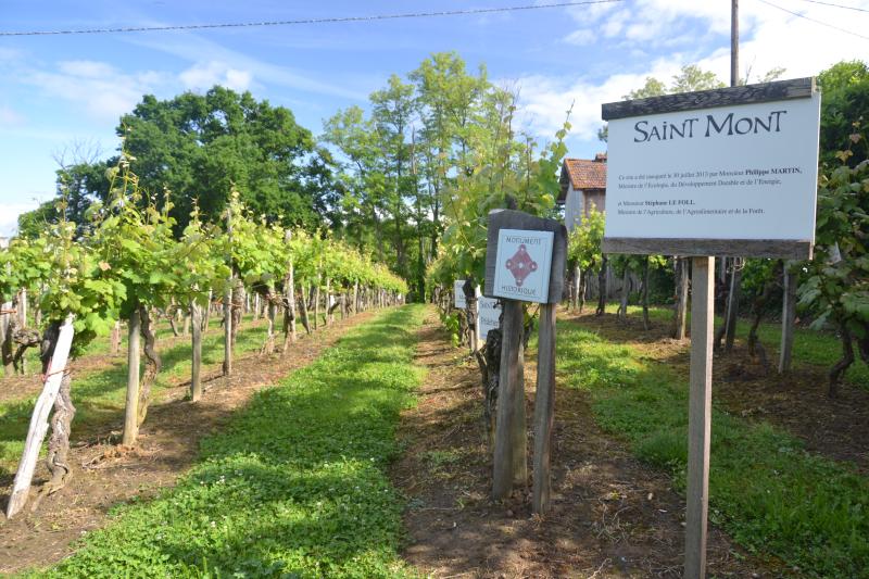 Parcelle de vigne, Sarragachies