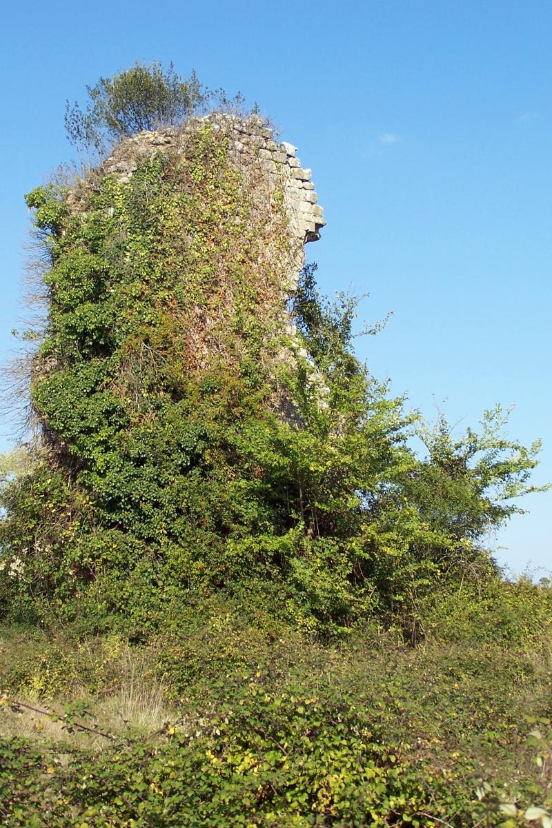 Ruines du château, Aillas