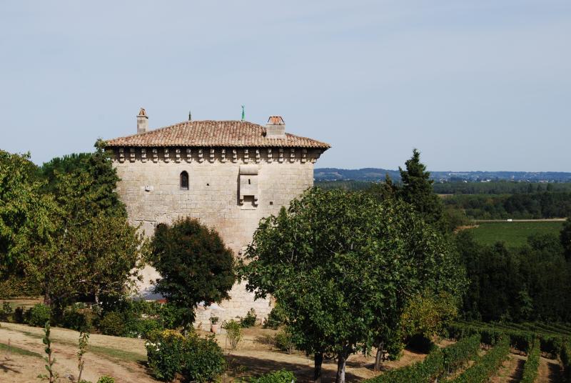 Tour de l'Ansouhaite, Moulon