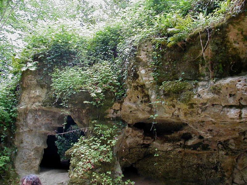 Caverne à peintures dite de Pair-non-Pair, Prignac-et-Marcamps