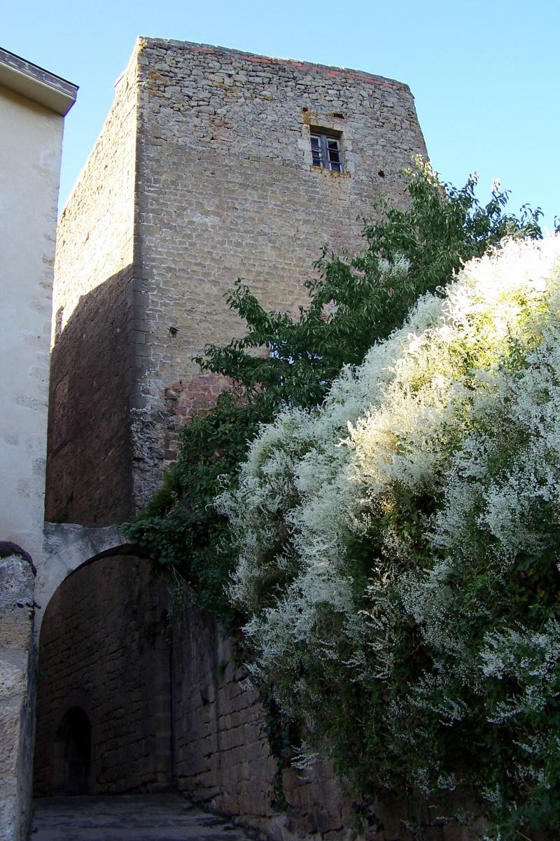 Maison Messidan, Saint-Macaire