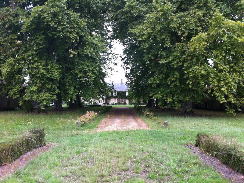 Château de Ruat, Le Teich