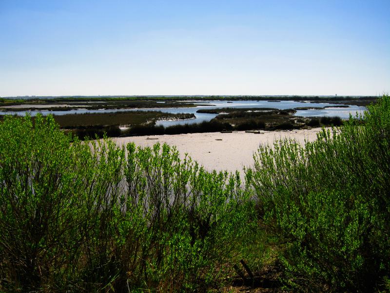 Domaine de Certes, Audenge