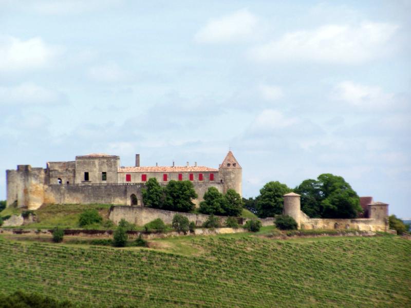 Château de Benauge, Porte-de-Benauge
