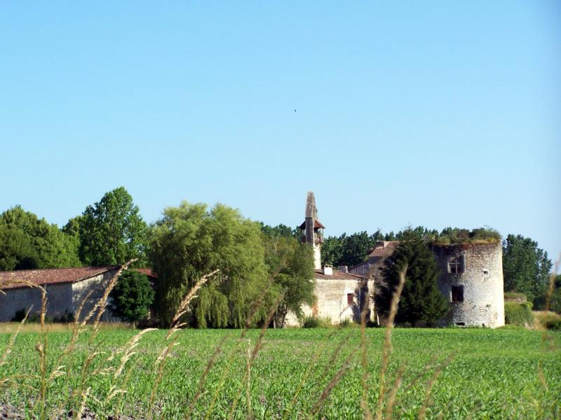 Château, Noaillan