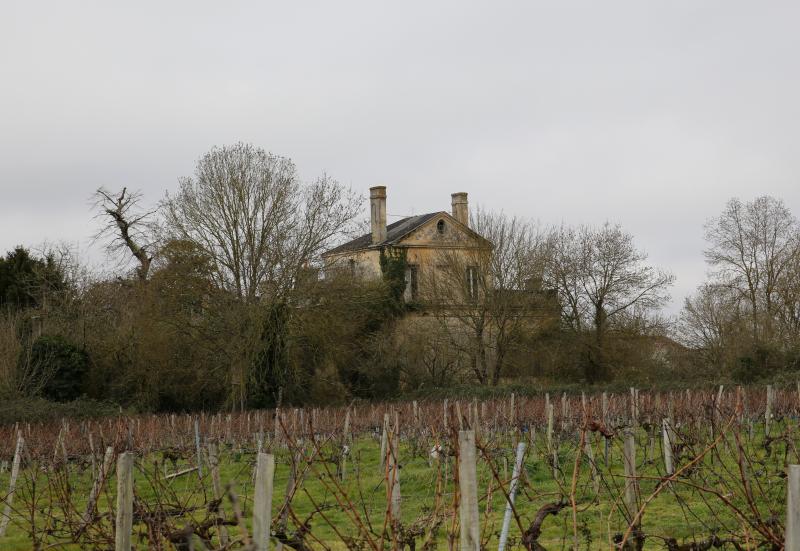 Château Bernones, Cussac-Fort-Médoc