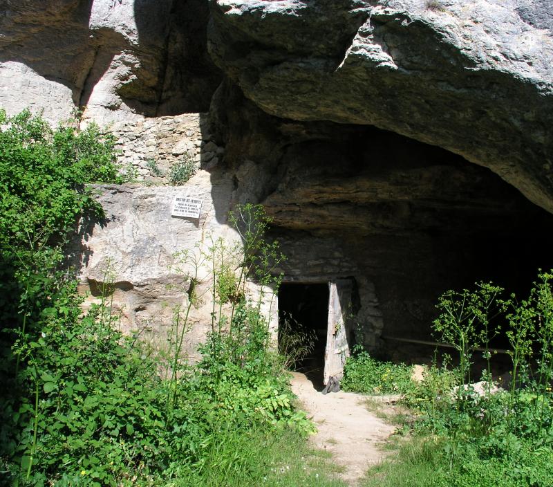 Grotte d'Aldène, dite également de Fauzan ou de la Coquille