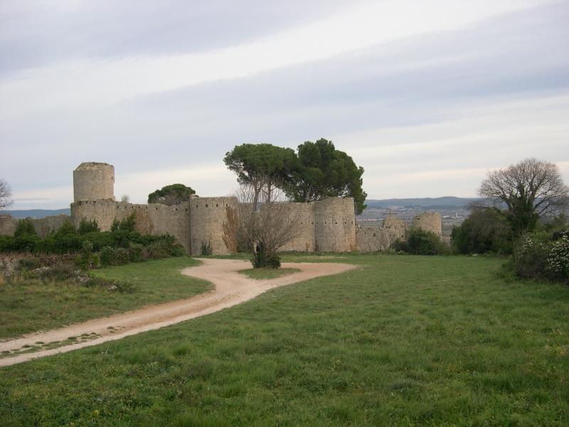 Restes du château
