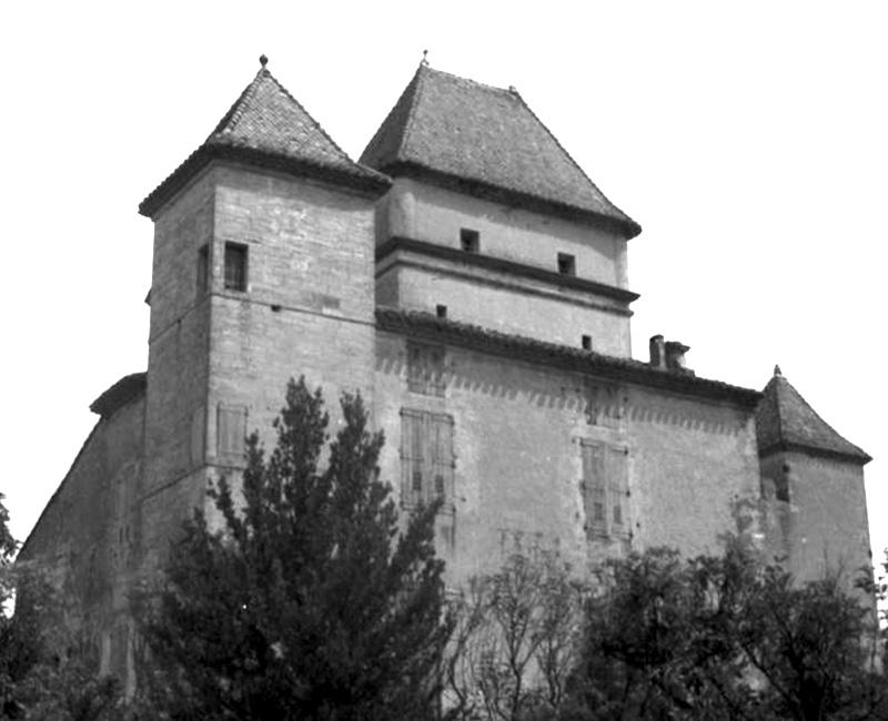 Château de Ribaute