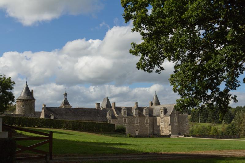 Château des Nétumières, Erbrée