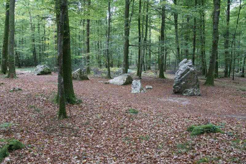 Dolmen dit la Pierre courcoulée ou Pierre des Huguenots, et alignement mégalithique dit Le Cordon des Druides, Landéan