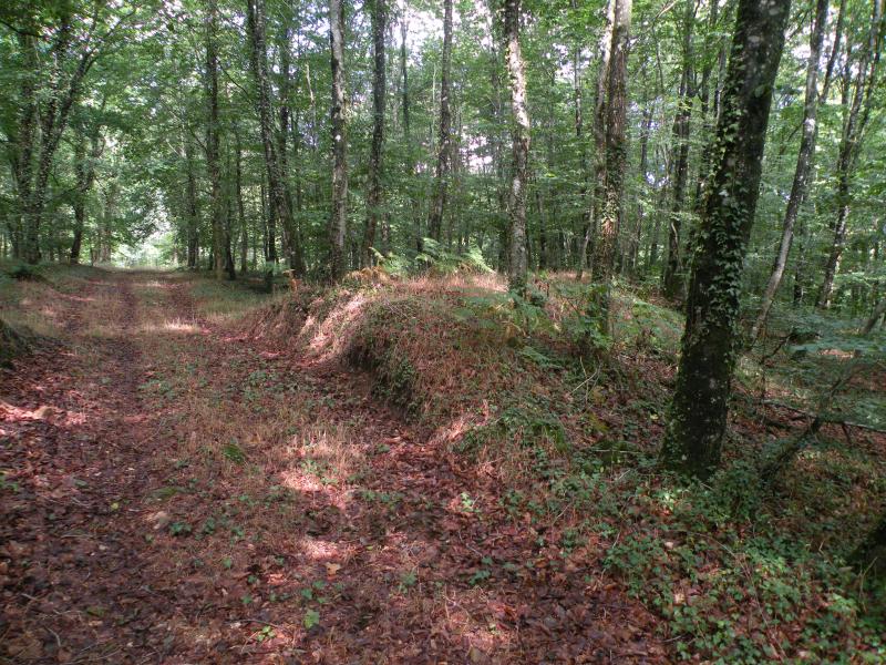 Oppidum situé dans la forêt domaniale de Fougères, Landéan