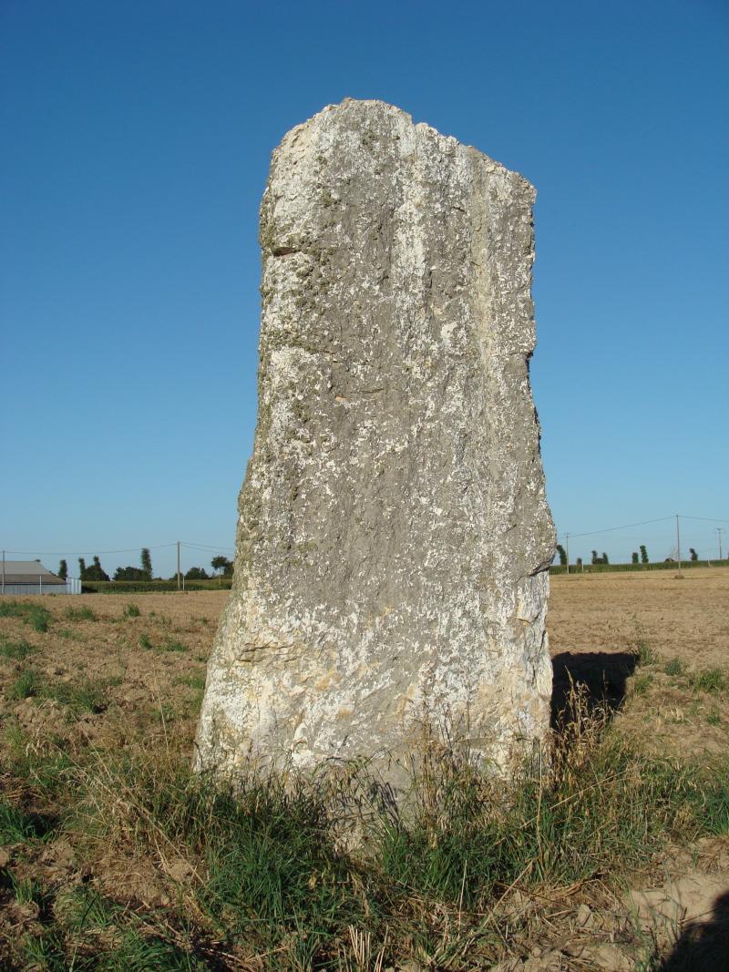 Menhir dit La Roche Carrée, Médréac
