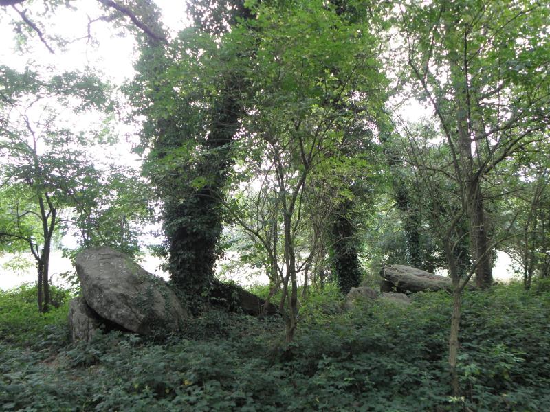 Allée couverte de Four-es-Feins, Miniac-Morvan
