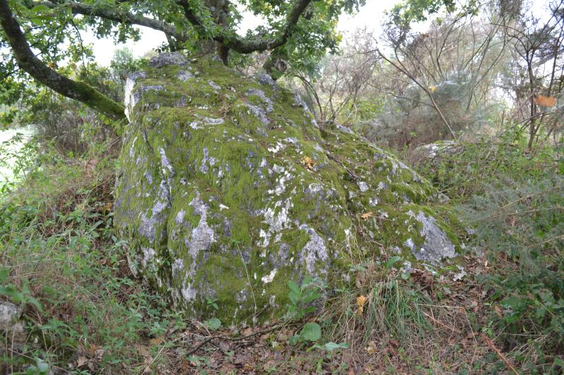 Sépulture mégalithique et tertre, Pléchâtel