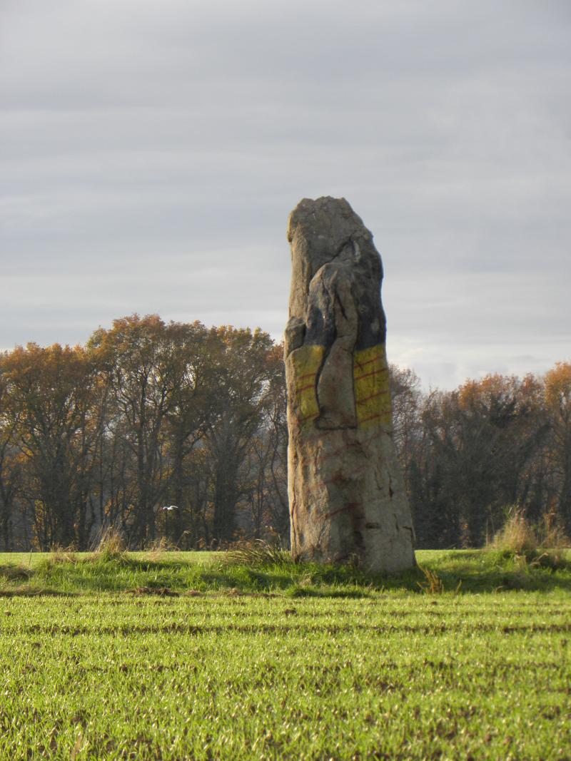 Menhir dit La Pierre du Domaine, Plerguer